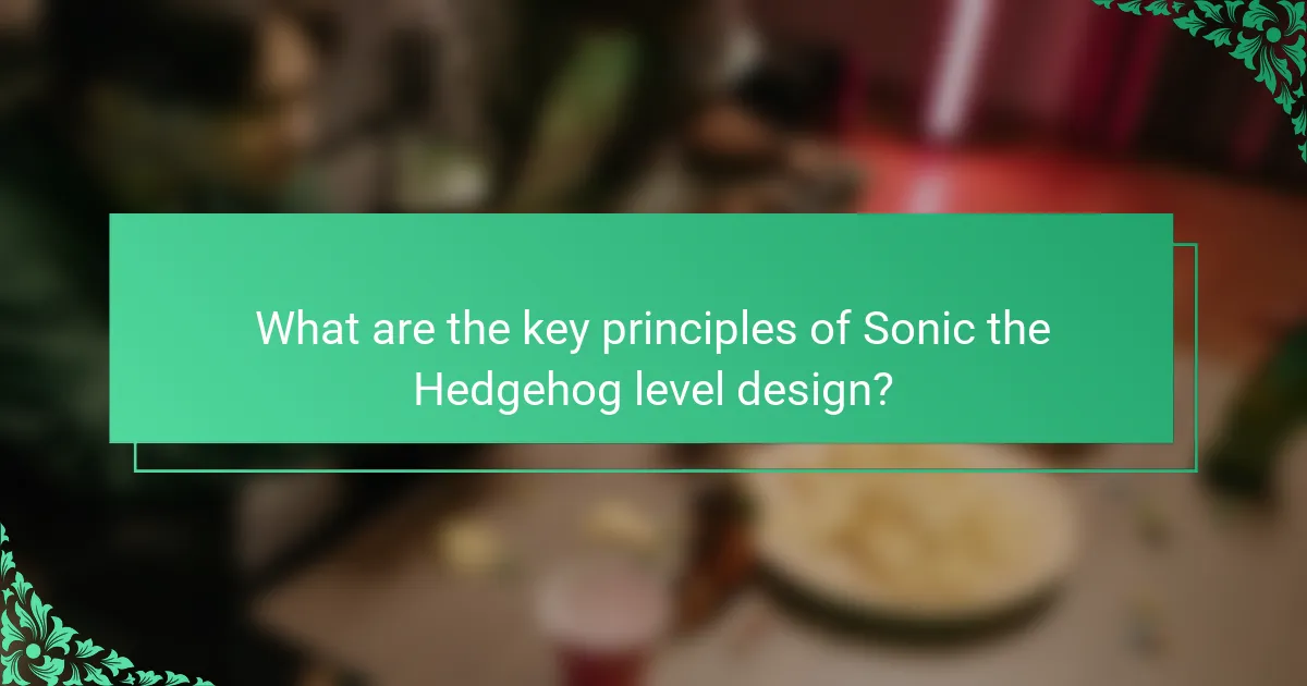 What are the key principles of Sonic the Hedgehog level design?